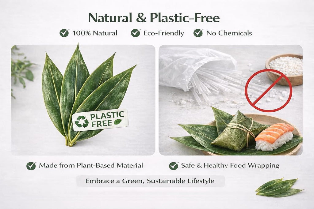 Sushi Bamboo Leaves – Natural Whole Bamboo Leaf Sheets, 500 Sheets (11.4" x 3.2"), Vacuum Sealed