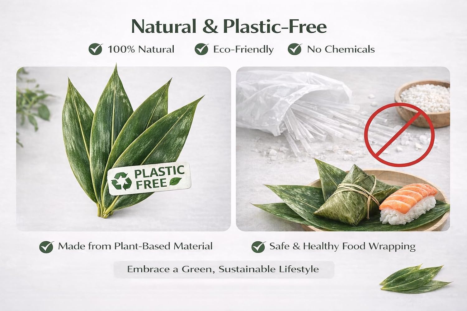Sushi Bamboo Leaves – Natural Whole Bamboo Leaf Sheets, 500 Sheets (11.4" x 3.2"), Vacuum Sealed